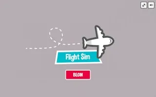 Flight Sim Pro