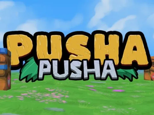 Pusha Pusha
